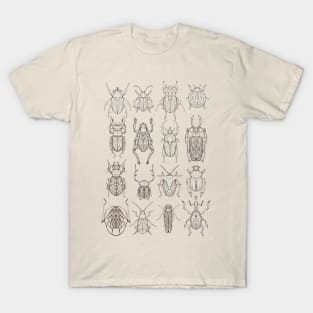 Coleoptera T-Shirt